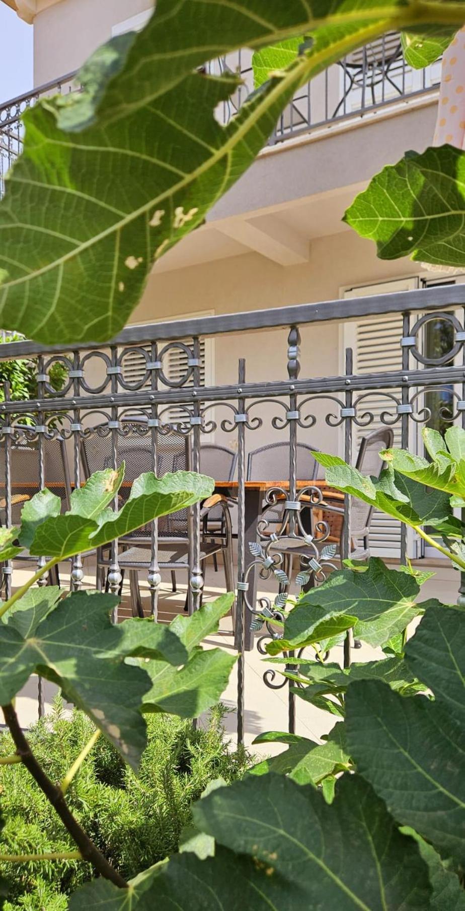 Villa Pepo Cavtat Kültér fotó